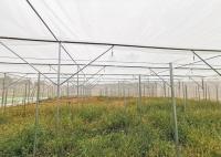Invernadero a prueba de insectos HDPE de 2 a 5 metros de altura que reduce los desastres naturales