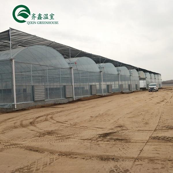 South Korea Agricultural Greenhouse with Ebb Flow Rolling Bench and Inside Shading System