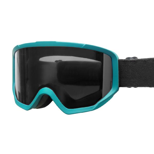 УЛЬТРАФИОЛЕТОВЫЕ женщины людей изумленных взглядов лыжи снега защиты с широким панорамным объективом