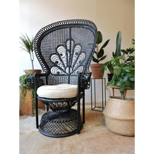 Wooden Rattan Arm Chair Outdoor Wicker Peacock Furniture