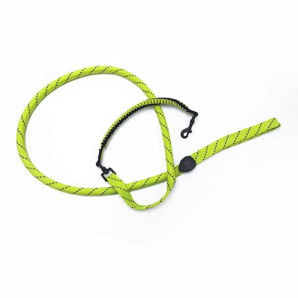 Polyester Webbing LED Light Up Dog Leash Durable 4 Colors Option Customized