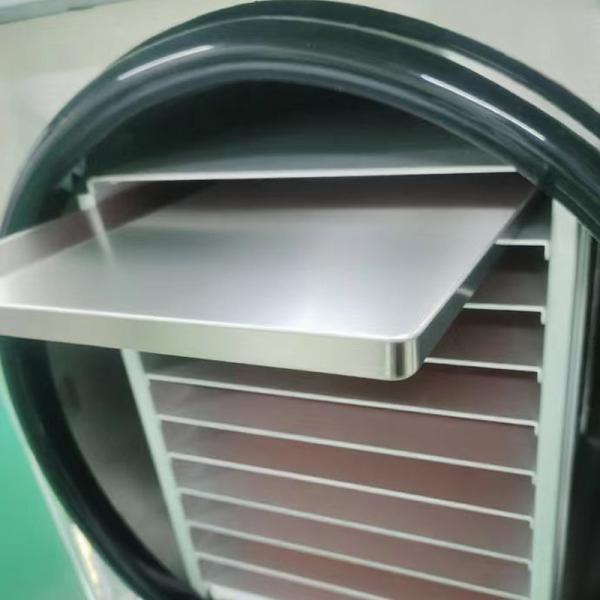 Liofilizador pequeño de 220V/50-60HZ fabricado en acero inoxidable SUS304 para secado