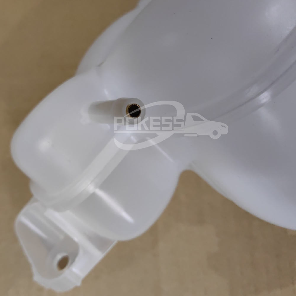 Car Expansion Tank FL3Z8A080A BL3Z8A080B DG938101AA Coolant Expansion Tank For Ford Raptor F150