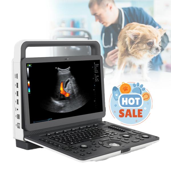 Best Price CW, TDI , PDI Handheld Portable Ultrasonido 3D 4D Veterinary Doppler Ultrasound Machine