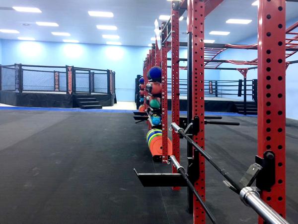 Home Gym Crossfit Training Rig Quick Install Floor To Ceiling Punching Bag Rack