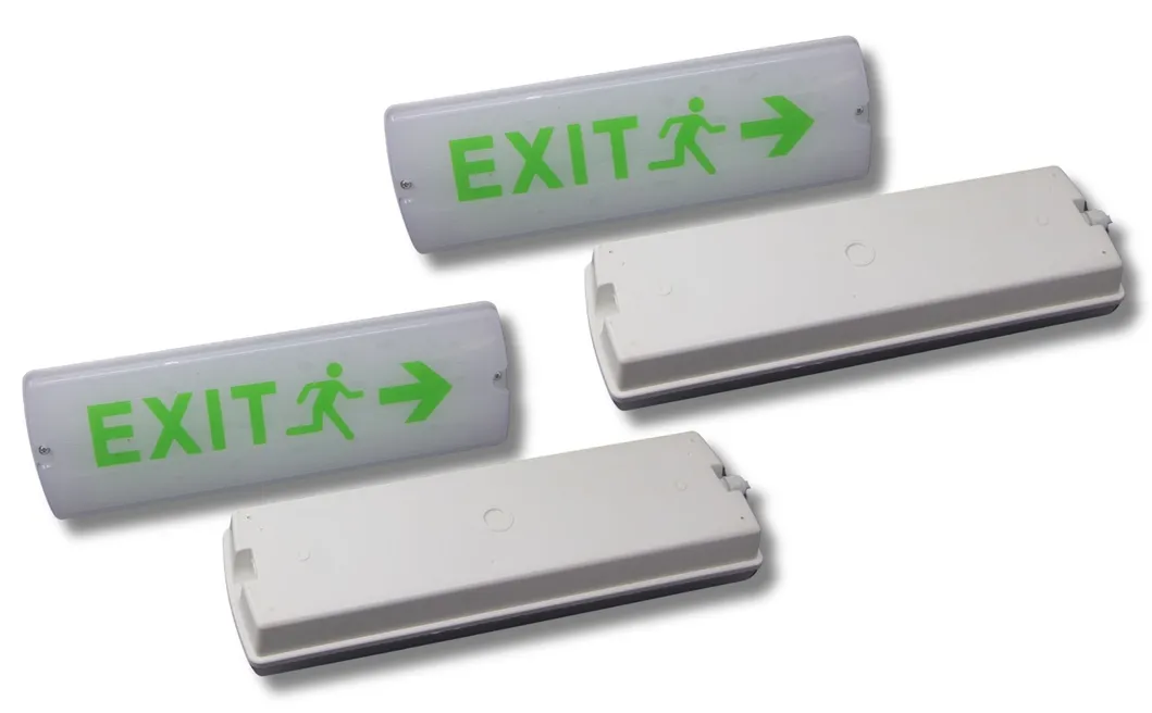 Luz de emergencia antipánico LED para salida de emergencia IP66 para hotel, verde, centro comercial, estación de tren, escuela, supermercado