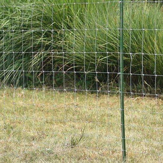 Low Price Guaranteed Quality  Hight Quality Goat Farming Field Fence 5 Ft Goat Fencing Farm Animal Fence