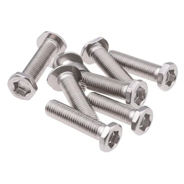 Passivation Treated Stainless Steel Security Screws Featuring External Hexagon Design and Excellent Corrosion Resistance Properties