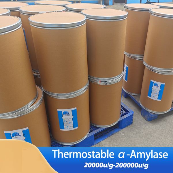 Application of thermostable alpha amylase in starch processing and feed