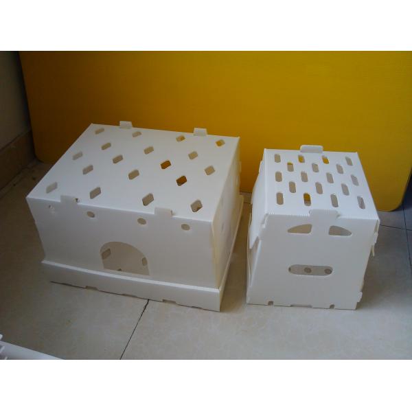 Corrugated Plastic Storage Box PP Polypropylene Vegetable Packing Box