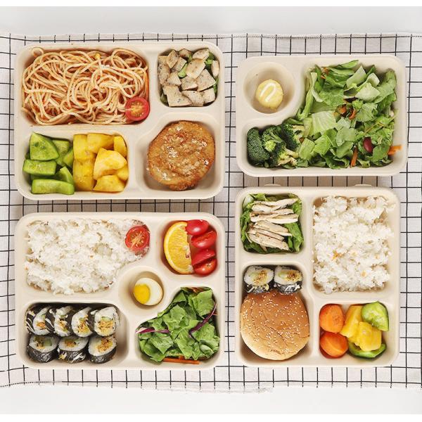 Сахарный тростник школьного обеда Biodegradable покрывает устранимое