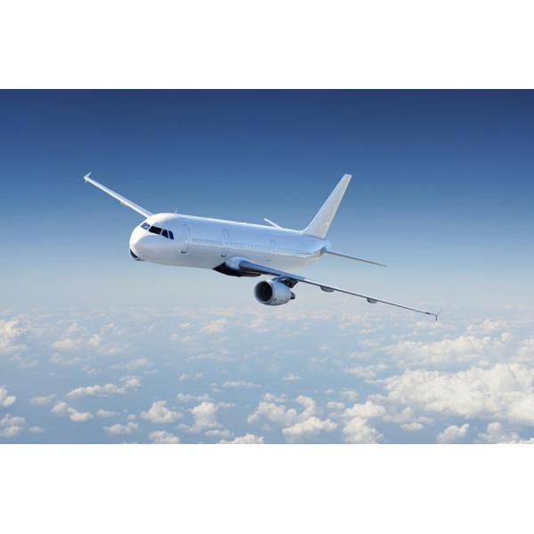 Поднимает обслуживания перевозимого самолетами груза международные от двери к двери транспорт к Амазонке ОБМАНЫВАЕТ в Соединенных Штатах