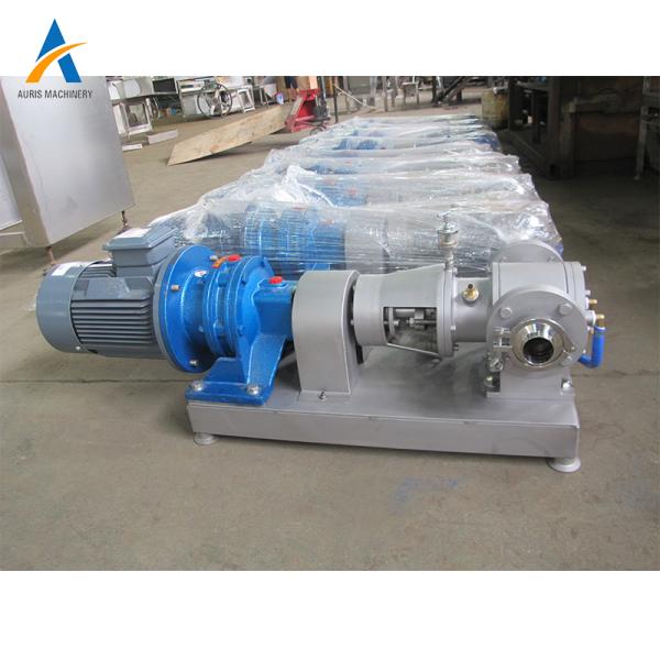 La pompe ou le chocolat à engrenages interne de chocolat d'acier inoxydable réduisent en sirop Honey Pump