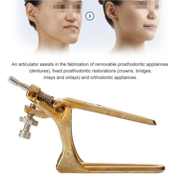 Articulador de laboratorio dental de boca completa de latón de resorte de tamaño 3 Articulador dental