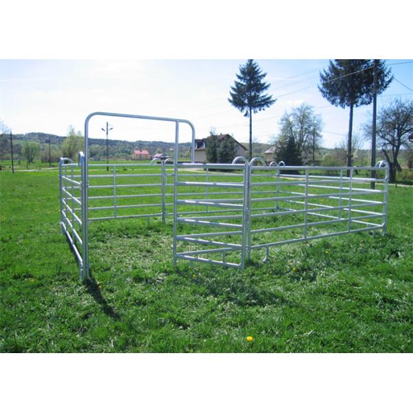 Stronger Cattle Yard Panels 360 Degree Full Welding Anti - Rust Painted