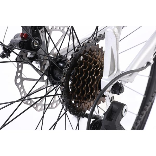 Customization Road Bike with Aluminum Alloy Frame and Disc Brake System 700C Mountainbike