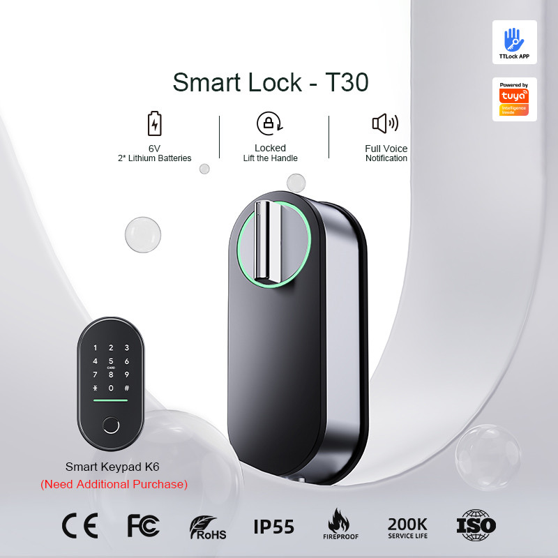 Liliwise горячее продажа замок умный дом Внутри Tuya Ttlock Безопасность Цифровой замок Wifi Smart Lock с ключом