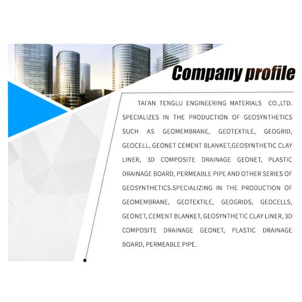 CE/ISO9001/ISO14001 Certified 38 48mm Plastic Grass Paver for Parking Lot and Driveway