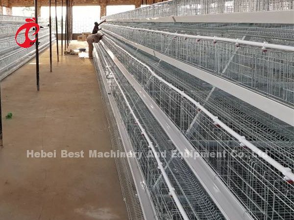 Chicken Battery Poultry Farming Cage System A H Type 3 tiers For Layer Rose