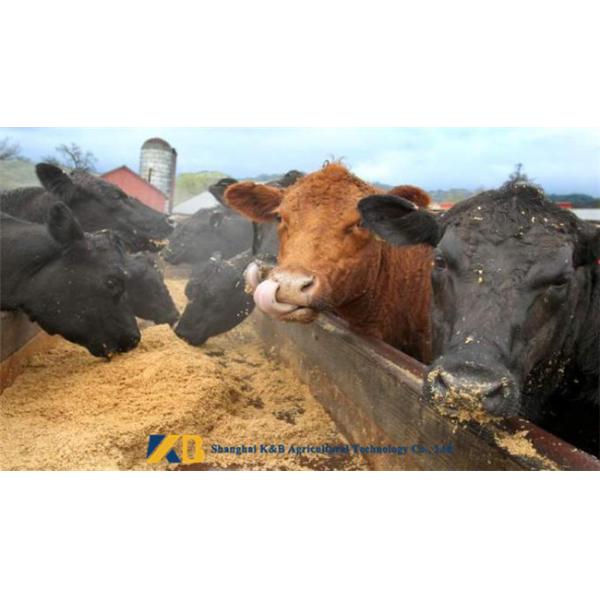 60% Protein Fish Meal Powder Contains Growth - Promoting Unknown Factors