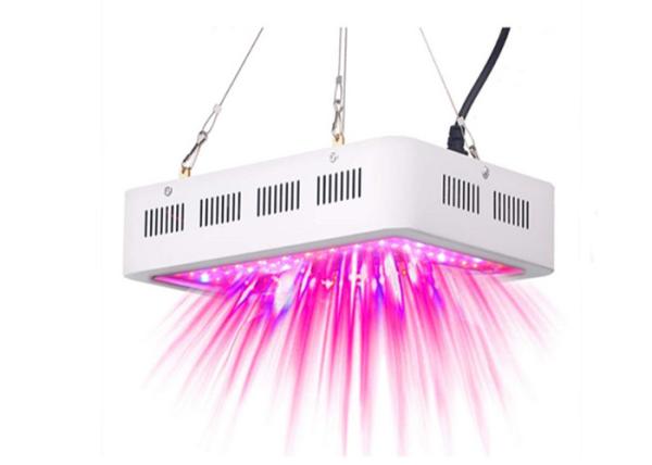 Dual Chip LED Plant Grow Light Strong Brightness With Long Lifespan 600W - 2000W