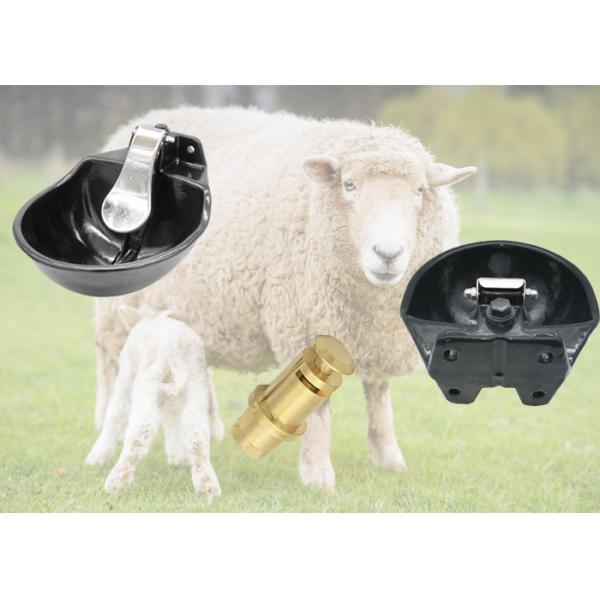 Dairy Cattle Water Drinking Bowl Powder Coated 4 Holes Design