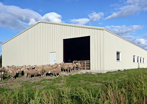 Recyclable Easy Assemble Metal Frame Structure Construction Fast Building