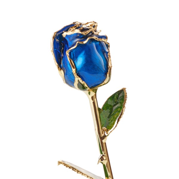 Half-blooming 24k Gold Dipped Blue  Rose Rose Preserved Flowers  Gold Rose for Christmas Valentine's Day Mother's Day  Gifts