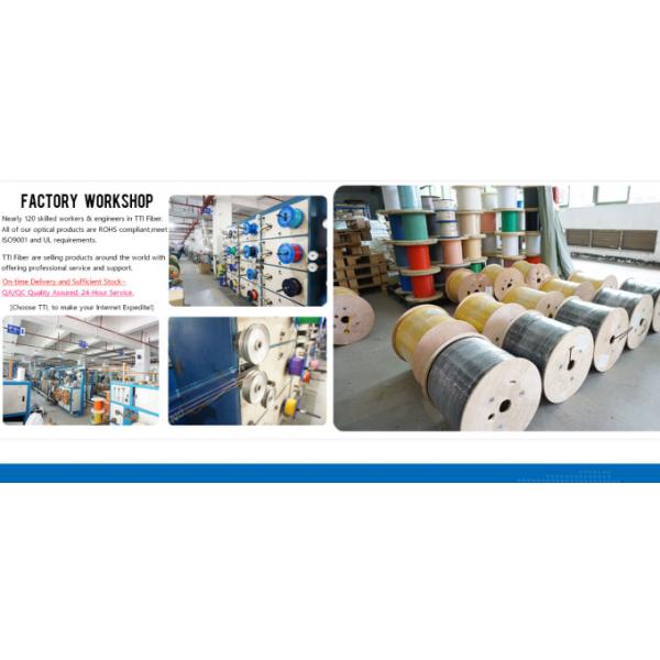 Dongguan Dasheng Electronic Co., Ltd.