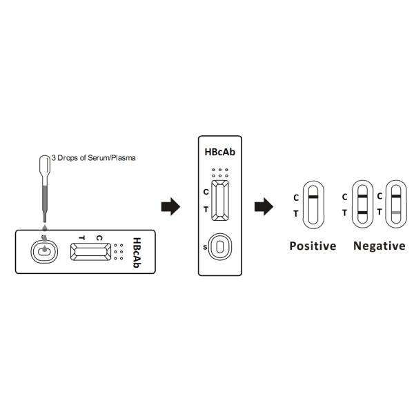 Medical Infectious Disease Blood Tests Strip , HBcAb Blood Test For Bacteria