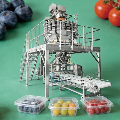 Speed Meets Precision: The Ultimate Small Fruit Packaging Solution