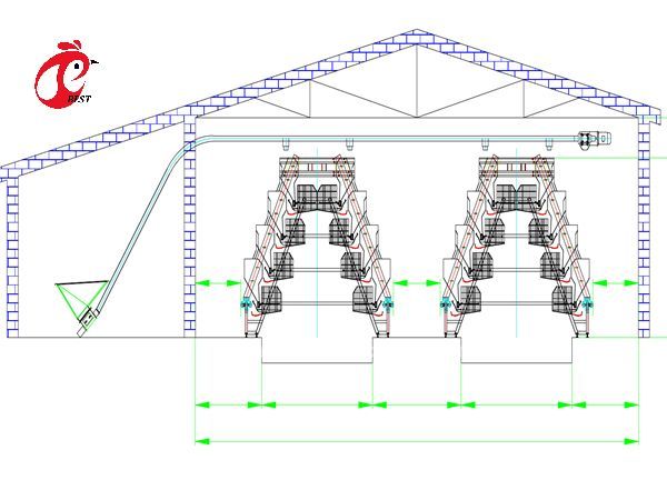 Тип автоматическая кладя система h клетки сельского хозяйства птицы цыпленка в радужке рынка Африки