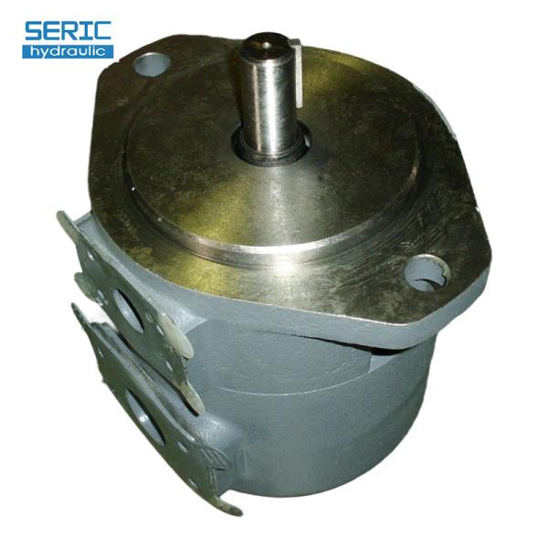 SQP Series High Pressure Hydraulic Vane Pump for Industrial Machinery