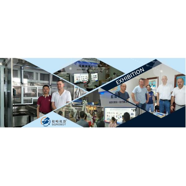 6 осей покрывая промышленный распылять воздуха крася роботов 1.5m