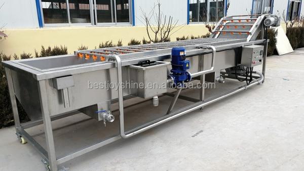 Hotéis Máquina de lavar bolhas 2000 kg/h para lavagem industrial de abacate e morango