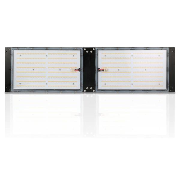 Conseil imperméable d'IP65 LED Herb Grow Light 240W SAMSUNG Quantum pour