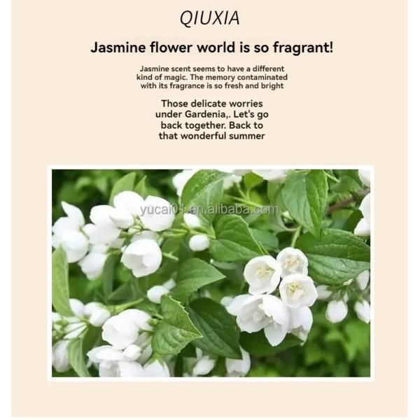 Female French Jasmine Classic Fragrance Light Lasting Men's and Women's Perfume 75ml