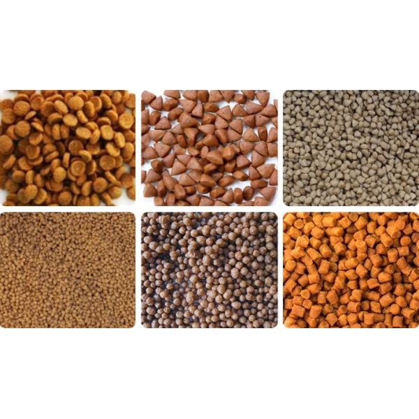 Floating Fish Feed Extrusion Machinery Twin Screw Fish Food Pellet Make Extruder