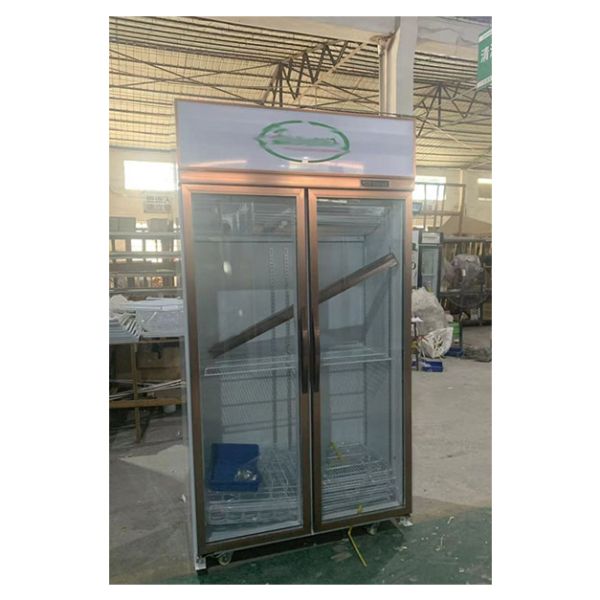 Convenience Store Single Door Commercial Refrigerated Storage Display Freezer