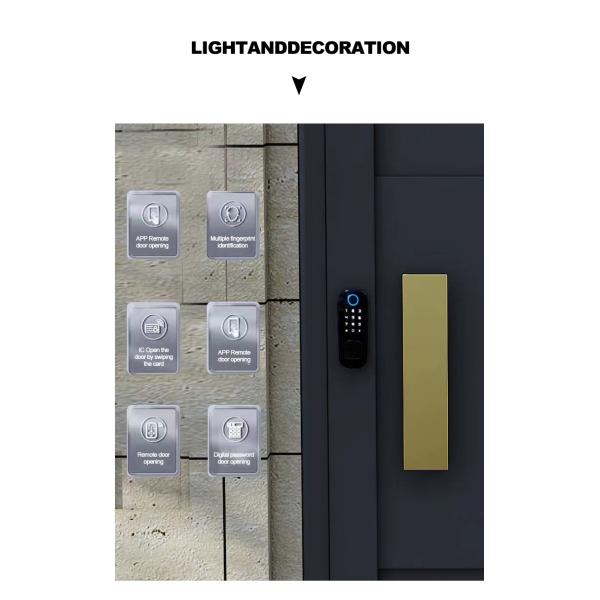 Внешнее оформление черный вход двойная дверь из нержавеющей стали кованое железо дизайн главные ворота