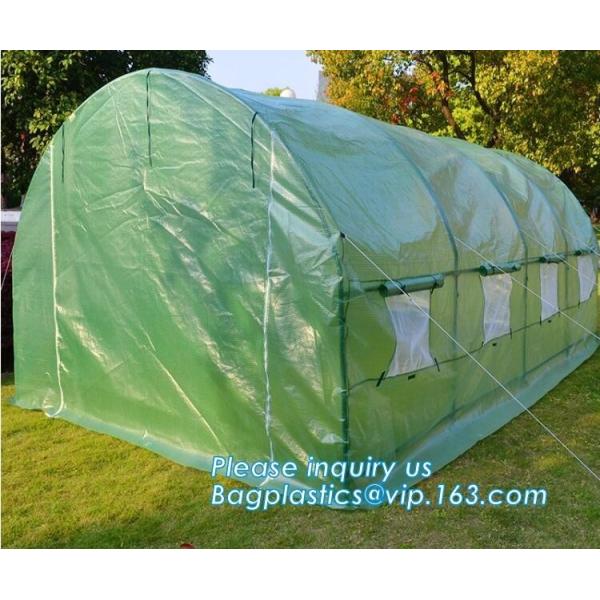Strawberry Planting Green House,200 micron UV plastic film for agriculture green house,High safety greenhouse for plants