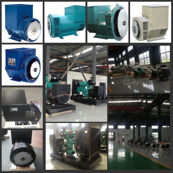 200kw / 250 kva Brushless Alternator Generator Four Pole With CE / ISO Certification