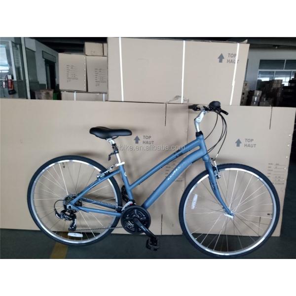 Customize Aluminum Frame 21S Women's Urban Bike Fitness Bikes Hybrid Bicycle for Adult