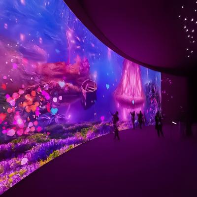 Lumières du Nord 3D Wall Jeux interactifs Projection immersive holographique
