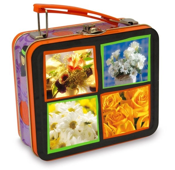 Изготовленная на заказ коробка олова обеда металла с ручкой на верхней толщине 0.23мм, УЛЬТРАФИОЛЕТОВОЕ печатание покрытия