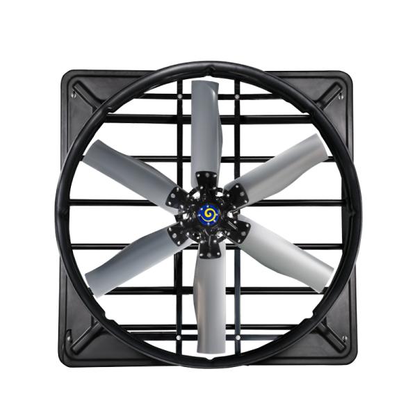 IP55 Protection Level Livestock Ventilation Fans with Direct Drive Mode and 60m3/h Air Volume/W
