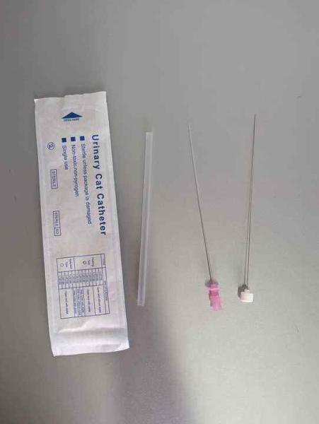 Cathéter urinaire pour chat TPU avec stylet, rinçage, rétention, réduction des calculs urinaires, pour les soins urinaires félins