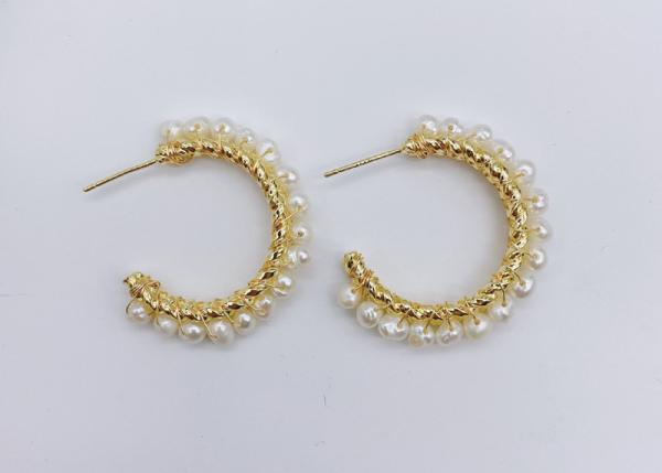 Luxury Baroque Bride Earring For Women Euramerican Palace Vintage Pop Pearl Earrings Natural Baroque Pearl Earring Set