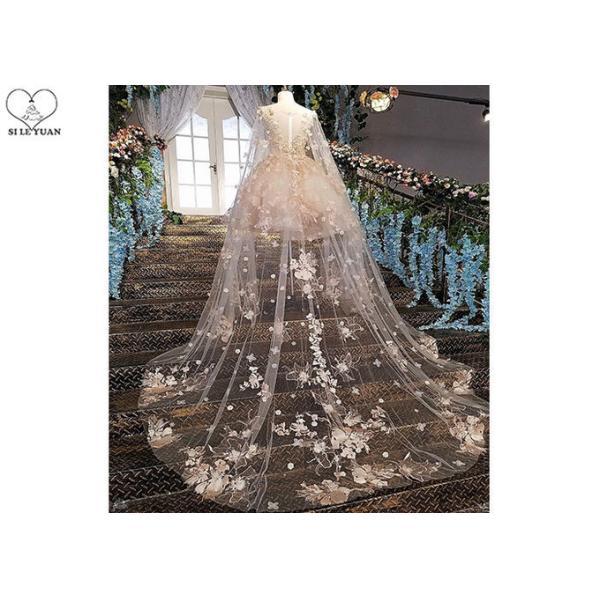 Pink Short Fitted Wedding Dress Special Irregular Transparent Lace Long Tail