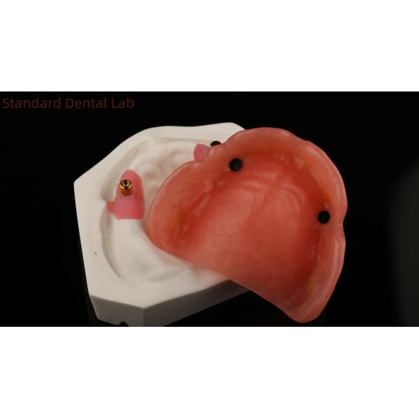 Dentsply Lucitone 199 Acrylic Denture For Full Arch Natural Look